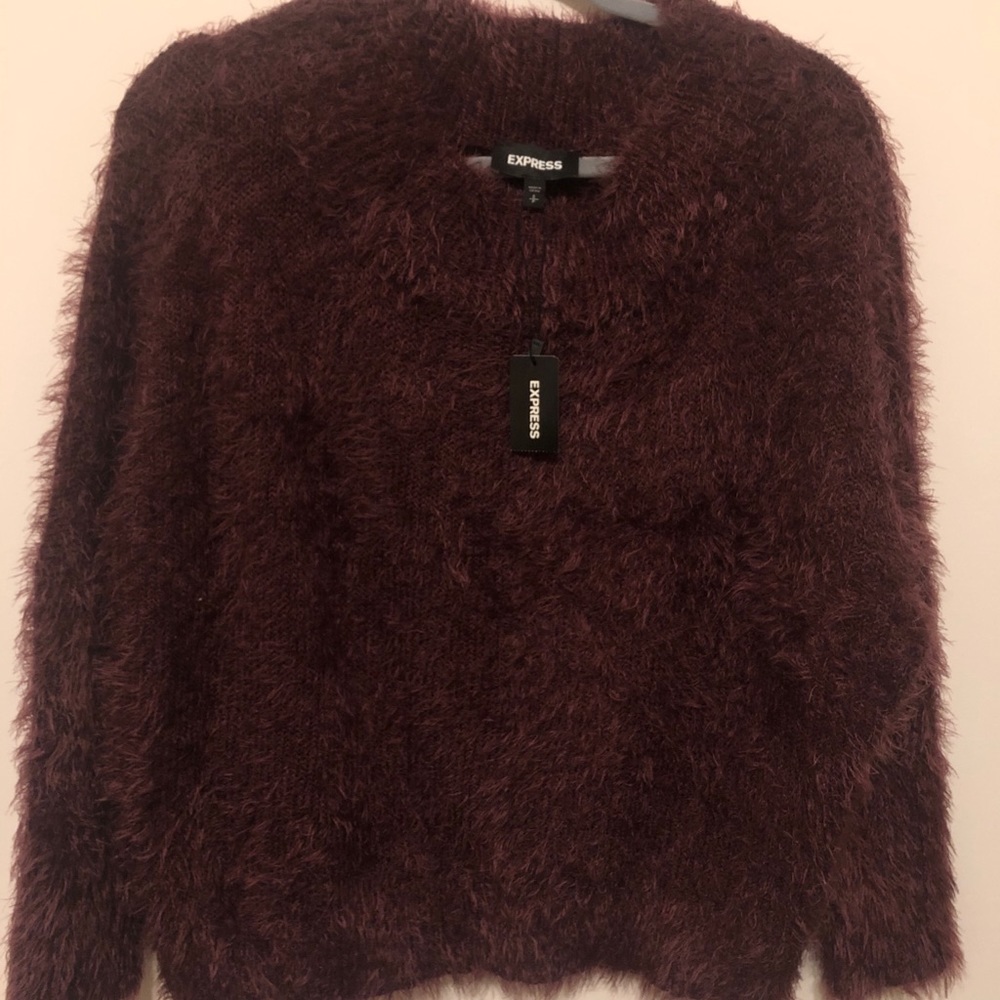 Express Sweater NWT